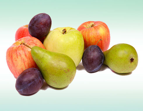 Gamme Fruits de saison Bratigny