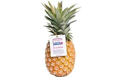 Ananas cayenne lisse FINE
