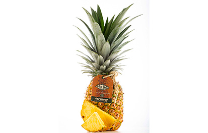 Ananas Don Ed's Terrasol