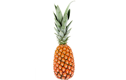 Ananas pain de sucre conventionnel