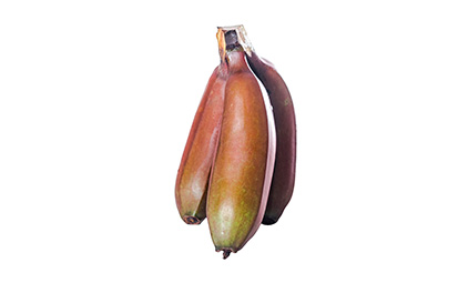 Banane rose Selvatica