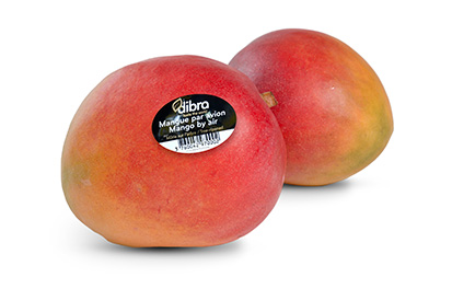 Mangue avion Dibra