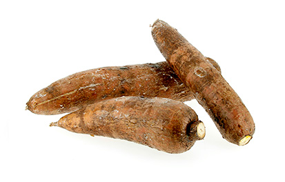 Manioc