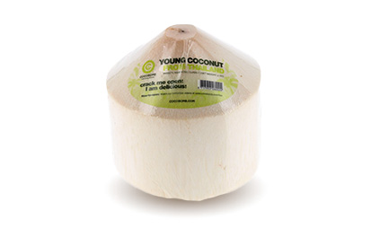 Noix de coco hutte