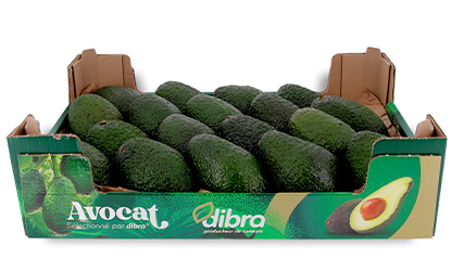 Colis Dibra 4kg alvéolé