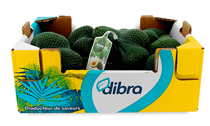 Colis Dibra Filets 14x3 fruits