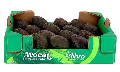Colis dibra avocat vrac 4kg